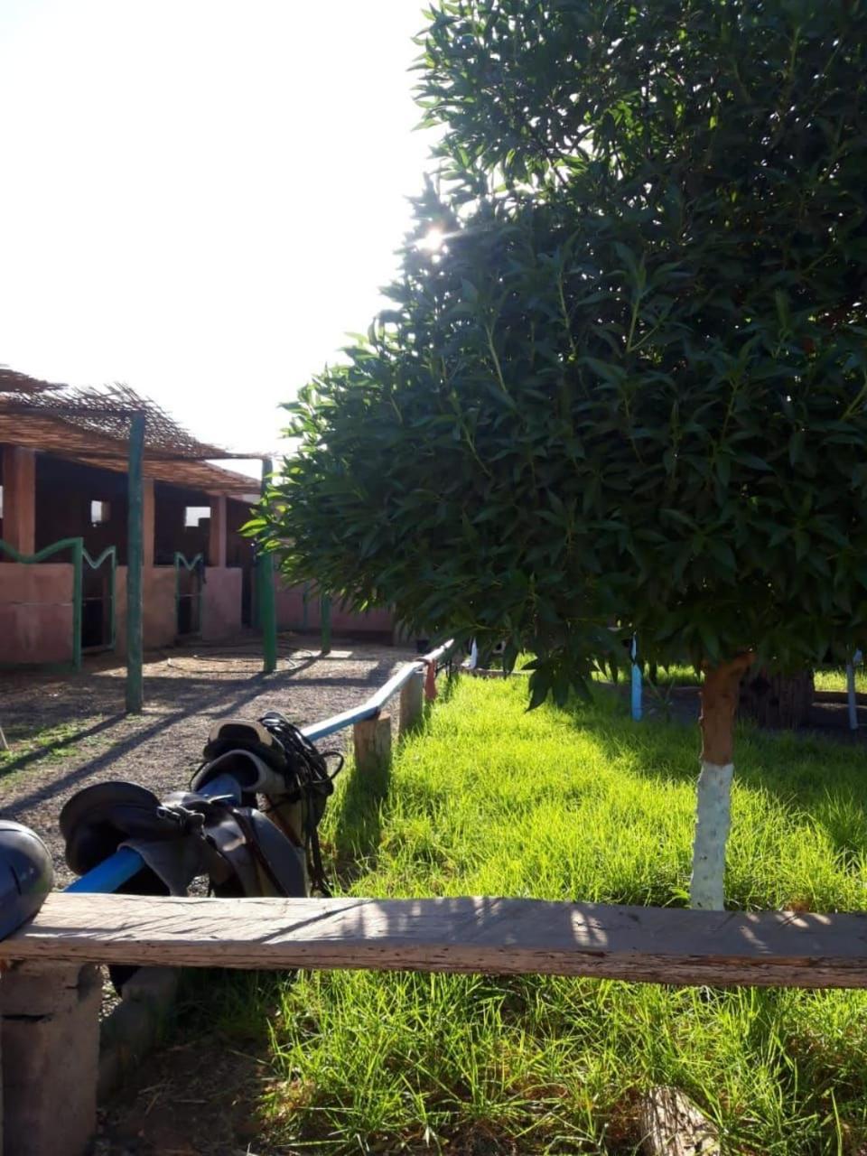 Les Cavaliers Chez Yassine Villa Marrakesh Bagian luar foto