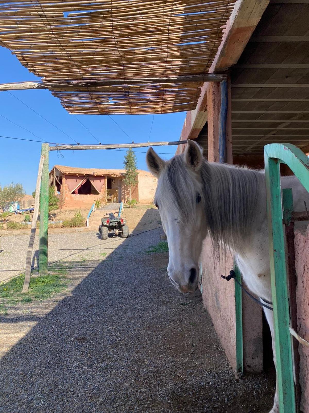 Les Cavaliers Chez Yassine Villa Marrakesh Bagian luar foto
