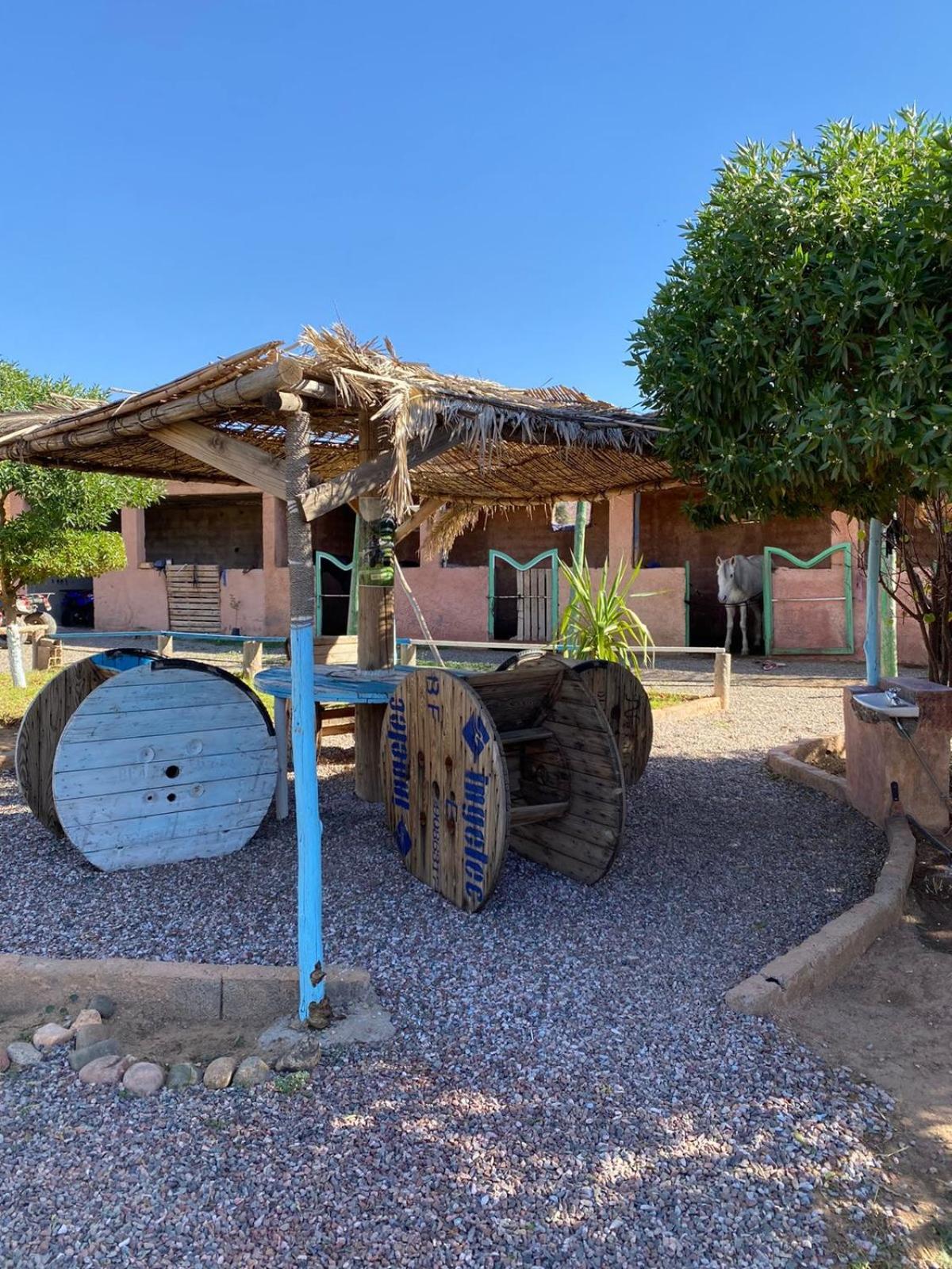Les Cavaliers Chez Yassine Villa Marrakesh Bagian luar foto